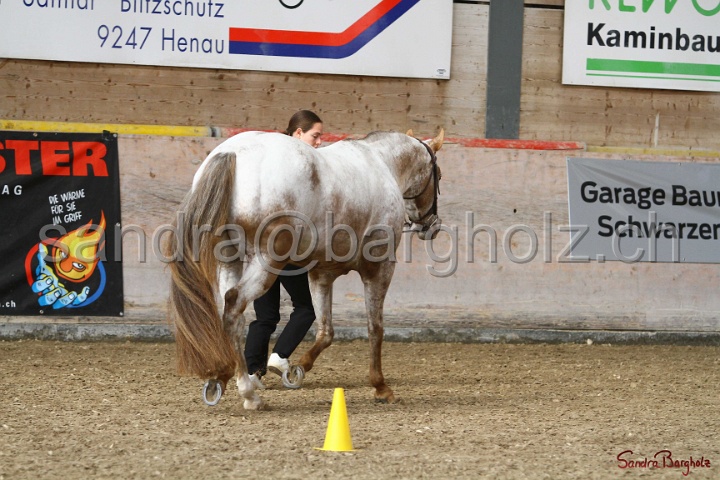 24-ApHC HIH_013.jpg